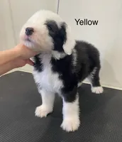 processed/4534d152-f132-4338-903a-4d71b9d8a862/listing/a0953a25-60af-4ecd-aa88-ed12ce6ba703/65538cbb-7ef4-491d-9908-6cfaf92e7d29