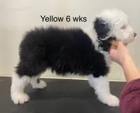 processed/4534d152-f132-4338-903a-4d71b9d8a862/listing/a0953a25-60af-4ecd-aa88-ed12ce6ba703/b6ac698c-9760-4993-b862-9816575239b2