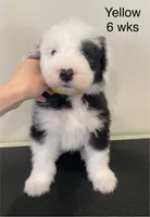 processed/4534d152-f132-4338-903a-4d71b9d8a862/listing/a0953a25-60af-4ecd-aa88-ed12ce6ba703/d4d69a7b-db8f-460c-9e12-f7e15070e274