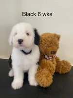 processed/4534d152-f132-4338-903a-4d71b9d8a862/listing/b70f574d-22ef-4f49-9aff-7bed6b142a0a/008563b2-e352-4d40-af86-f43e118b6005