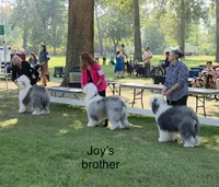 processed/4534d152-f132-4338-903a-4d71b9d8a862/listing/b70f574d-22ef-4f49-9aff-7bed6b142a0a/08688ba6-b89f-41fa-b65e-6c51ce83f183