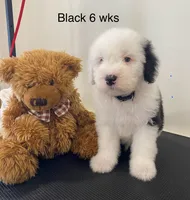 processed/4534d152-f132-4338-903a-4d71b9d8a862/listing/b70f574d-22ef-4f49-9aff-7bed6b142a0a/6e20d69f-cef9-40cc-8efd-7f16fc13fdef