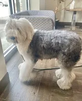 processed/4534d152-f132-4338-903a-4d71b9d8a862/listing/b70f574d-22ef-4f49-9aff-7bed6b142a0a/9251b42a-4149-4365-aad5-b602762dbce7