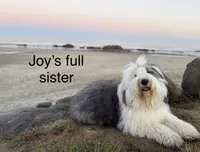 processed/4534d152-f132-4338-903a-4d71b9d8a862/listing/b70f574d-22ef-4f49-9aff-7bed6b142a0a/c8f52ebc-3999-4d45-8c37-d9cf44343a7a