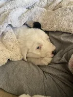 processed/4534d152-f132-4338-903a-4d71b9d8a862/listing/b70f574d-22ef-4f49-9aff-7bed6b142a0a/ce2eb8a2-d01f-4082-8733-8967553c425e