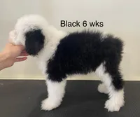 processed/4534d152-f132-4338-903a-4d71b9d8a862/listing/b70f574d-22ef-4f49-9aff-7bed6b142a0a/cfa1e74f-72a0-4f20-aca7-d1fd0f0c6a1b