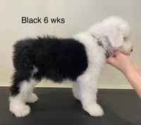 processed/4534d152-f132-4338-903a-4d71b9d8a862/listing/b70f574d-22ef-4f49-9aff-7bed6b142a0a/f3d5f803-5ac4-411e-8b3f-99eaacb65216