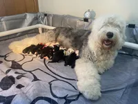 processed/4534d152-f132-4338-903a-4d71b9d8a862/listing/f8d01a61-f074-4d4e-8ede-a46ceb955f08/01c8b0e3-6a89-41dd-881c-c7fe3a770d81