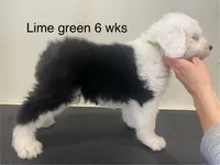 processed/4534d152-f132-4338-903a-4d71b9d8a862/listing/f8d01a61-f074-4d4e-8ede-a46ceb955f08/321214d7-c663-49a6-99c1-51c87f251e6b