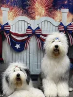 processed/4534d152-f132-4338-903a-4d71b9d8a862/listing/f8d01a61-f074-4d4e-8ede-a46ceb955f08/350904c6-9761-4776-b00a-869c8aa0a801