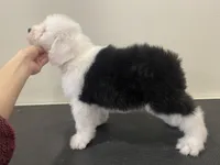 processed/4534d152-f132-4338-903a-4d71b9d8a862/listing/f8d01a61-f074-4d4e-8ede-a46ceb955f08/7814f137-b74f-4ed8-8d5a-fd2e1b2bee55