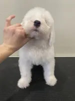 processed/4534d152-f132-4338-903a-4d71b9d8a862/listing/f8d01a61-f074-4d4e-8ede-a46ceb955f08/d18871ea-09af-4bfe-a074-7c11ba11876a