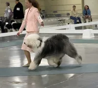 processed/4534d152-f132-4338-903a-4d71b9d8a862/listing/f8d01a61-f074-4d4e-8ede-a46ceb955f08/f666f219-698f-414c-88fb-9df29d1ff851