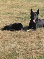 processed/453bd59f-b833-4d54-abef-7701aeef5ea3/facility/b7b7fe31-ef36-4334-807a-d6fed4b9fbf2