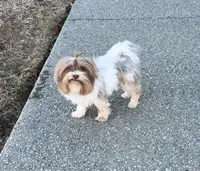 processed/453d146c-e6bd-4f84-ae45-fa19c97fdd1b/listing/2ca13bc7-a616-4b3b-839e-bafbd2659bf3/4d59edf9-ff04-41f0-85f2-ddc2db338ea1