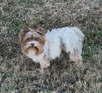 processed/453d146c-e6bd-4f84-ae45-fa19c97fdd1b/listing/2ca13bc7-a616-4b3b-839e-bafbd2659bf3/e08dcc51-76d7-4390-b1c9-7b4beb815778