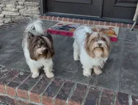 processed/453d146c-e6bd-4f84-ae45-fa19c97fdd1b/listing/2ca13bc7-a616-4b3b-839e-bafbd2659bf3/e11ca196-2331-4067-ae4a-45c539dd98e3