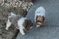 processed/453d146c-e6bd-4f84-ae45-fa19c97fdd1b/listing/5f2e6ce2-5100-44a0-8661-6a5b6c2c1576/4db1df05-88db-41bd-a938-22744b7aa783