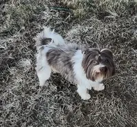 processed/453d146c-e6bd-4f84-ae45-fa19c97fdd1b/listing/5f2e6ce2-5100-44a0-8661-6a5b6c2c1576/8ad52522-323c-4839-830d-f79cc8ff2d60