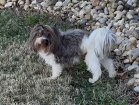 processed/453d146c-e6bd-4f84-ae45-fa19c97fdd1b/listing/5f2e6ce2-5100-44a0-8661-6a5b6c2c1576/e9eb0c08-623a-4496-b090-3610bcd236f8