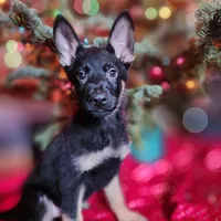 processed/4544139d-04ed-4cfe-bf01-55279291dc0c/facility/0d1bad09-fb82-416d-80c9-1bf4d34ff0be