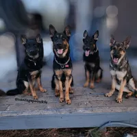 processed/4544139d-04ed-4cfe-bf01-55279291dc0c/facility/255a767b-8580-4d6d-9b2b-3c36facca389