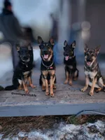 processed/4544139d-04ed-4cfe-bf01-55279291dc0c/facility/255a767b-8580-4d6d-9b2b-3c36facca389