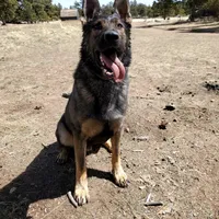 processed/4544139d-04ed-4cfe-bf01-55279291dc0c/facility/713243df-064b-4e77-be1f-1a86b0d754be