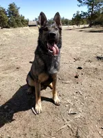 processed/4544139d-04ed-4cfe-bf01-55279291dc0c/facility/713243df-064b-4e77-be1f-1a86b0d754be