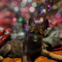 processed/4544139d-04ed-4cfe-bf01-55279291dc0c/facility/afeff57b-57e2-4807-9ebb-bd02b609940f