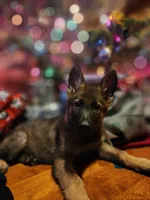 processed/4544139d-04ed-4cfe-bf01-55279291dc0c/facility/afeff57b-57e2-4807-9ebb-bd02b609940f