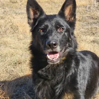 processed/4544139d-04ed-4cfe-bf01-55279291dc0c/facility/c28c06db-b485-4f15-ae88-f296e73e2348