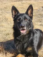 processed/4544139d-04ed-4cfe-bf01-55279291dc0c/facility/c28c06db-b485-4f15-ae88-f296e73e2348