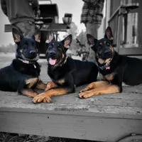 processed/4544139d-04ed-4cfe-bf01-55279291dc0c/facility/e2b77d7d-6766-408d-a0f6-11141ee223e4