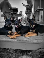 processed/4544139d-04ed-4cfe-bf01-55279291dc0c/facility/e2b77d7d-6766-408d-a0f6-11141ee223e4