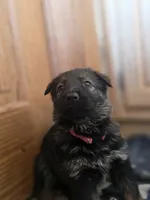 processed/4544139d-04ed-4cfe-bf01-55279291dc0c/listing/b9f95b06-e206-4a02-9a16-9f4c09ea1d3d/01c9098e-50f4-45ac-ab9e-6b679731408a