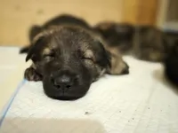 processed/4544139d-04ed-4cfe-bf01-55279291dc0c/listing/b9f95b06-e206-4a02-9a16-9f4c09ea1d3d/1575972d-622e-401f-8e59-db379787a8bb