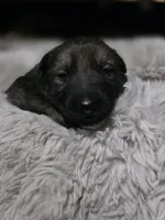 processed/4544139d-04ed-4cfe-bf01-55279291dc0c/listing/b9f95b06-e206-4a02-9a16-9f4c09ea1d3d/5391b531-784c-41f4-817f-dca6be407887