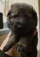 processed/4544139d-04ed-4cfe-bf01-55279291dc0c/listing/b9f95b06-e206-4a02-9a16-9f4c09ea1d3d/845215ed-b9bc-4c34-82de-30f047c6bd3b