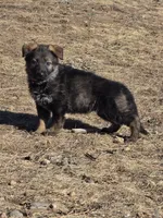 processed/4544139d-04ed-4cfe-bf01-55279291dc0c/listing/b9f95b06-e206-4a02-9a16-9f4c09ea1d3d/92a45bd5-14ed-4e4d-9abc-5602ea50f8ff