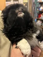 processed/454e9612-6b94-4513-b7fd-a816e3543cc1/listing/01874f13-307c-4cf6-a6a7-c28cc9498d49/1e8e19e0-2d21-4465-81a3-5d92f0de9251