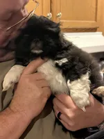 processed/454e9612-6b94-4513-b7fd-a816e3543cc1/listing/01874f13-307c-4cf6-a6a7-c28cc9498d49/4f70731f-e246-4167-947c-f7aff7a9a99d