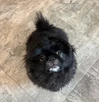 processed/454e9612-6b94-4513-b7fd-a816e3543cc1/listing/01874f13-307c-4cf6-a6a7-c28cc9498d49/9e5f42ea-aa62-419f-a576-35c9a5a1fc78