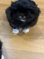 processed/454e9612-6b94-4513-b7fd-a816e3543cc1/listing/01874f13-307c-4cf6-a6a7-c28cc9498d49/bafb9d15-d739-4c4a-938f-dcc6b6502710