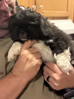 processed/454e9612-6b94-4513-b7fd-a816e3543cc1/listing/01874f13-307c-4cf6-a6a7-c28cc9498d49/bfc4ef19-15ae-4329-8c92-269d643400a6