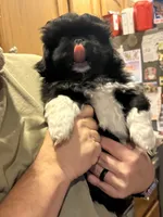 processed/454e9612-6b94-4513-b7fd-a816e3543cc1/listing/01874f13-307c-4cf6-a6a7-c28cc9498d49/e9658bf0-d70e-4f55-9fc9-7ec508d50856