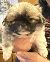 processed/454e9612-6b94-4513-b7fd-a816e3543cc1/listing/48740ca6-c883-4d35-a7fa-46b683b78c90/1ebe2dd8-d8da-49ba-9bc6-bf086ae7fa8c