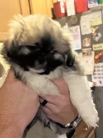 processed/454e9612-6b94-4513-b7fd-a816e3543cc1/listing/48740ca6-c883-4d35-a7fa-46b683b78c90/2a9937f8-1572-4705-b6cc-f1d429002bc2