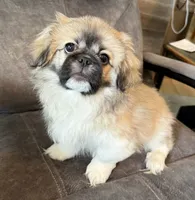 processed/454e9612-6b94-4513-b7fd-a816e3543cc1/listing/48740ca6-c883-4d35-a7fa-46b683b78c90/34cf1de6-cad7-4eac-99b7-1dd9437f2aa0