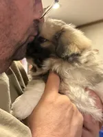 processed/454e9612-6b94-4513-b7fd-a816e3543cc1/listing/48740ca6-c883-4d35-a7fa-46b683b78c90/3fc2730b-0999-4b7f-9bcf-93156d82abce